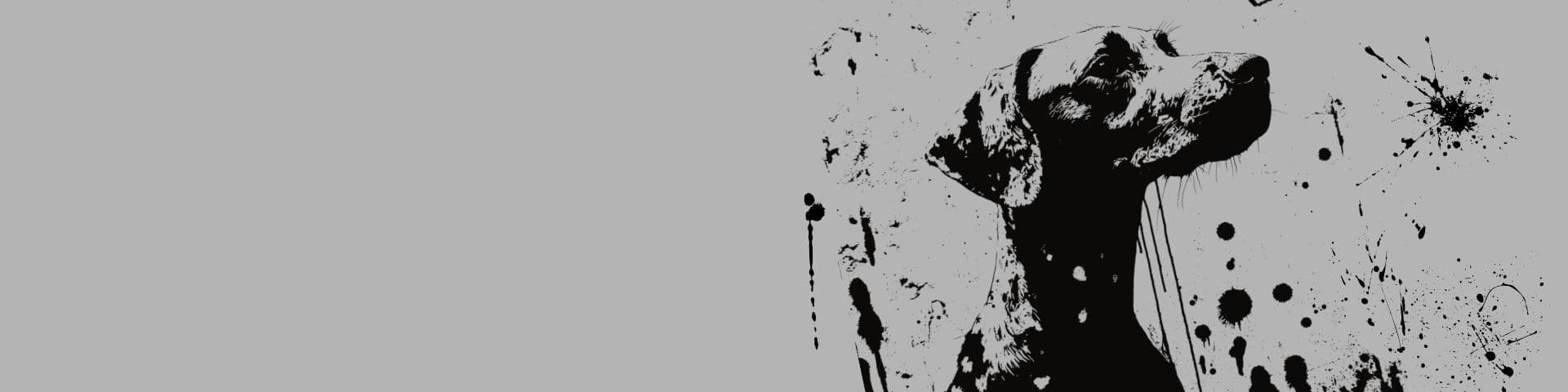 Banner background